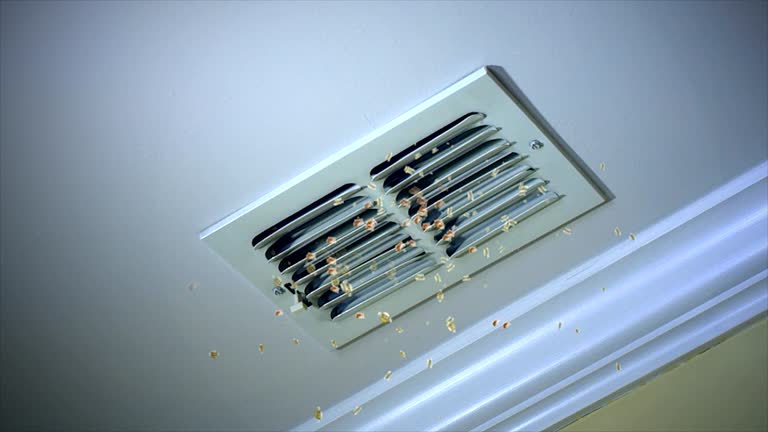 Best Local Air Duct Cleaning Services  in Canyon Lake, TX